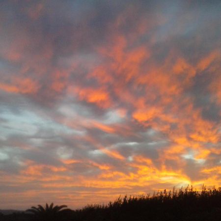Vivienda Gorrion Apartment Morro Jable  Room photo